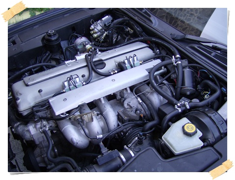 Jaguar_Immagine 001.jpg