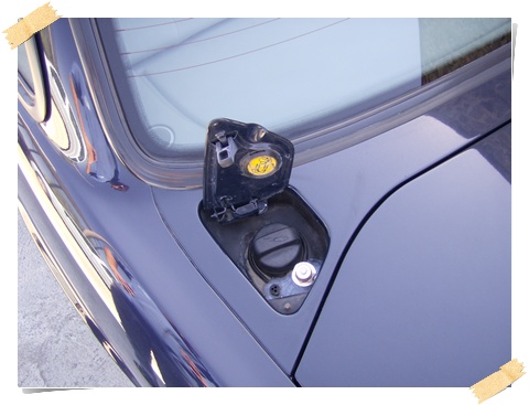 Jaguar_Immagine 003.jpg