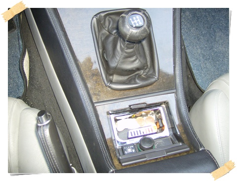 Jaguar_Immagine 005.jpg