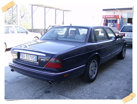 Jaguar_Immagine 010.jpg