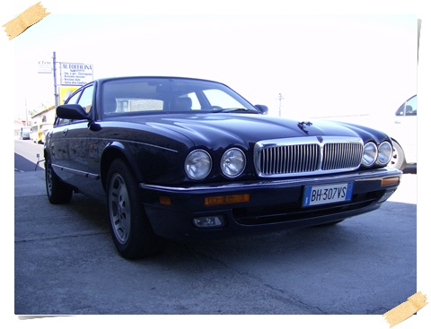 Jaguar_Immagine 016.jpg